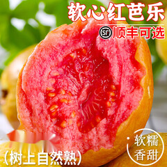 初灿 · 广西红心芭乐